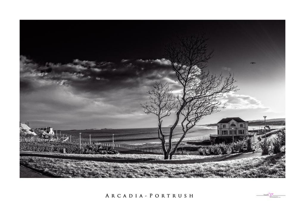 Harbour Heights B&B Portrush Exteriér fotografie
