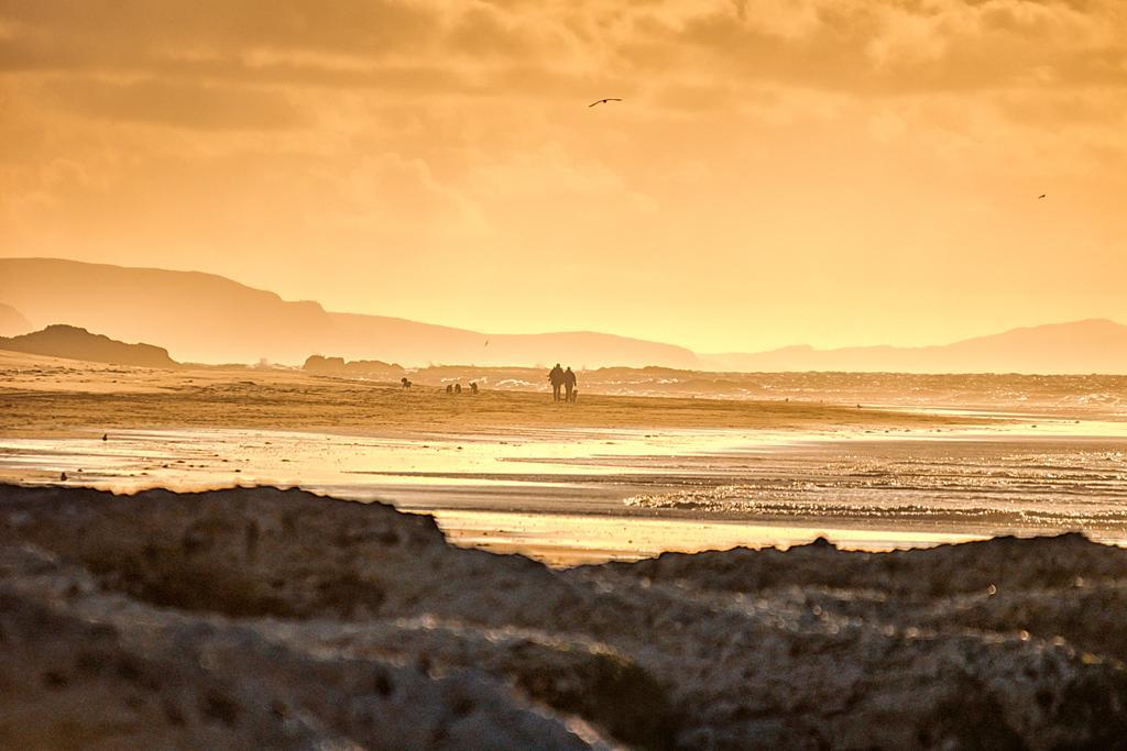 Harbour Heights B&B Portrush Exteriér fotografie